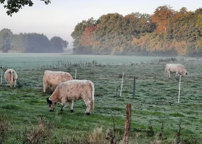 펜션 24 Premium Pod 